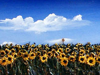 [lang_en]Sunflowers sculptures[/lang_en][lang_it]Sculture di girasoli[/lang_it]